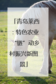 青岛莱西：特色农业“链”动乡村振兴新图景